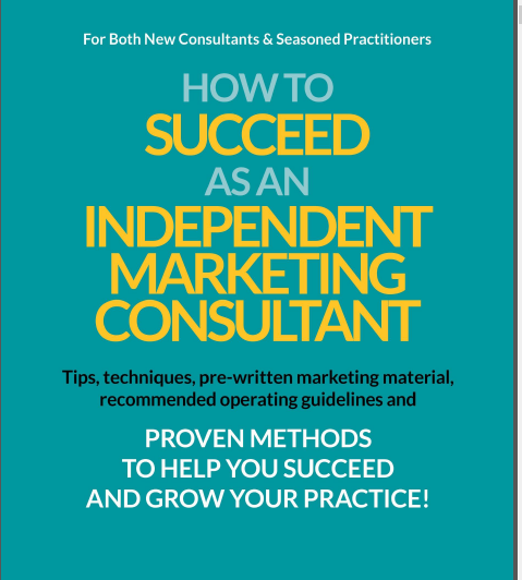 cover image how to succeed as independent consultant